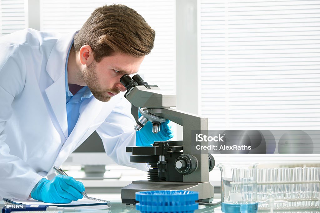 Scientist looking through a microscope Scientist looking through a microscope in a laboratory Microscope Stock Photo