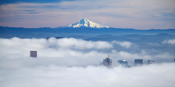 Morning fog in downtown portland with Mt Hood in the background.  Only the tops of the buildings are visible