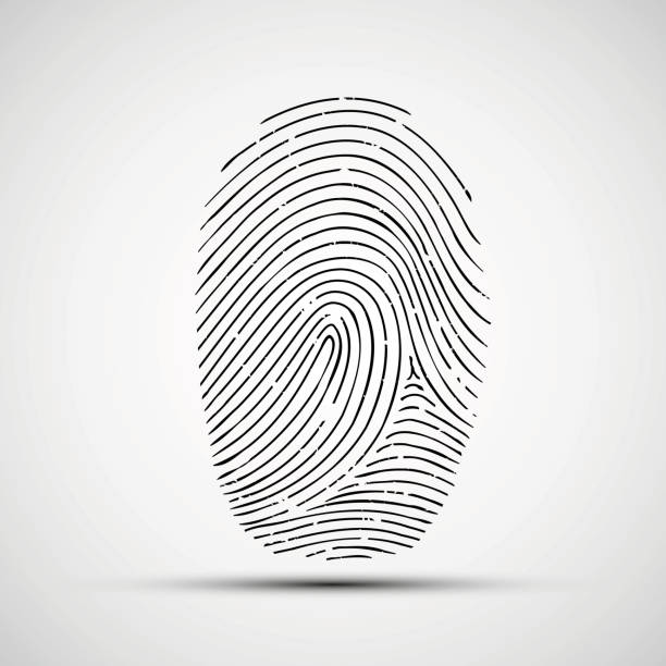 벡터 아��이콘크기 인간 지문 - fingerprint thumbprint human finger track stock illustrations