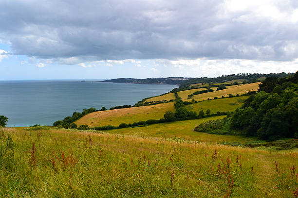 champs de la côte - torquay photos et images de collection