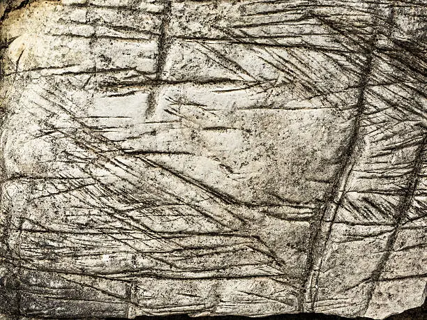Photo of Weathered and Etched Light-Colored Rock