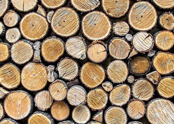 istock Background from dry wood logs stacked on each other 490016532