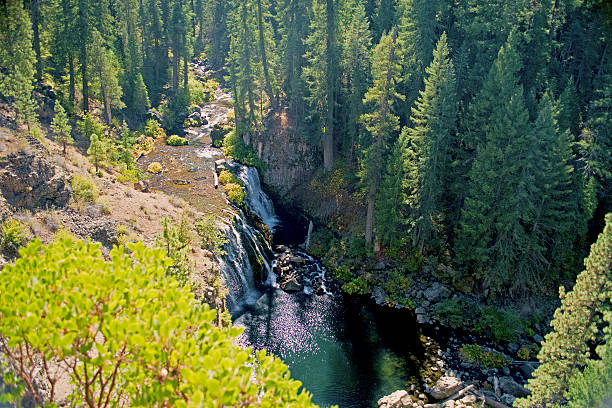 Waterfalls of the McCloud River