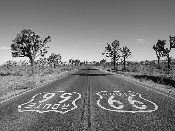 istock Route 66 with Joshua Trees in Black and White 490022190