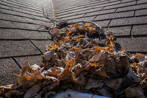 Leaves in the valleys of a roof can cause leaks.