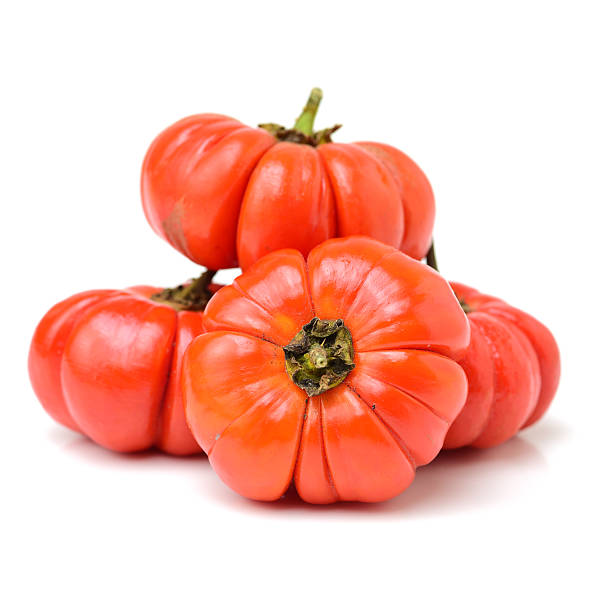 istock Pumpkin on a Stick, an ornamental eggplant 490025354