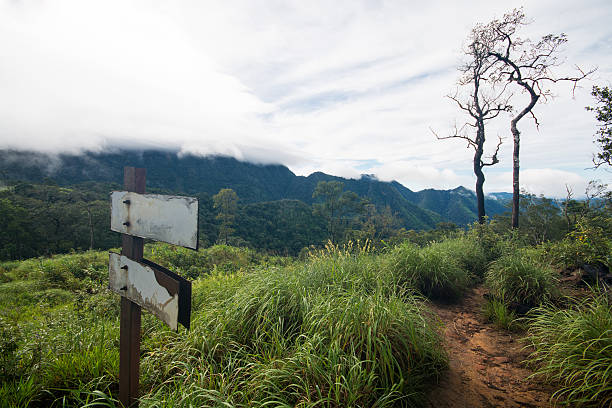 istock Way sign for trekkers and view of mountain 490025632