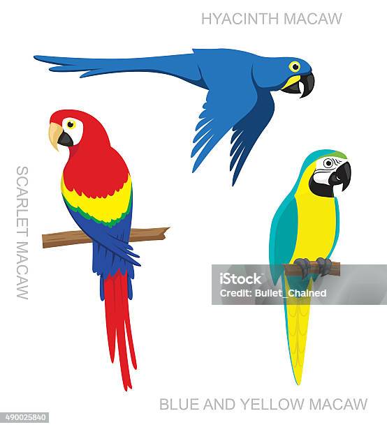 Parrot Macaw Cartoon Vector Illustration Stock Illustration - Download Image Now - Parrot, Macaw, Blue