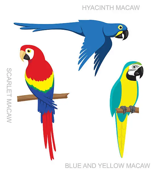 Vector illustration of Parrot Macaw Cartoon Vector Illustration