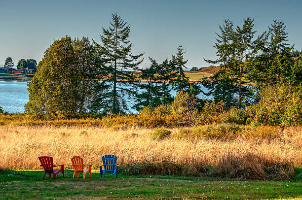 istock Adirondack chairs overlooking a lake - Port Townsend, Washington 490026298