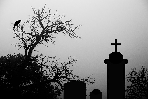 Dark and spooky tree with a crow in a cemetary
