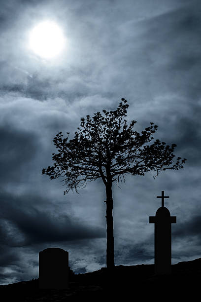 istock Dark and spooky tree in a moonlite cemetary 490026504