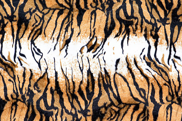istock texture of print fabric stripes Tiger for background 490027068