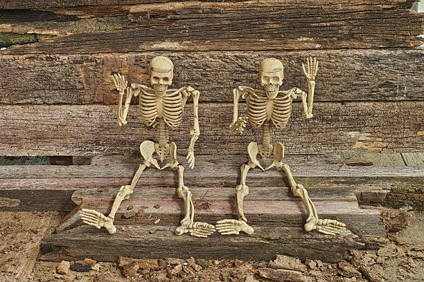 istock Human Skeleton in greeting action on the wood floor 490042314