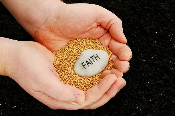 A religious concept inspired by the Bible Verse Matthew 17:20 about faith the size of a mustard seed. This photo uses mustard seeds and an engraved faith stone held over soil, to illustrate an idea of "planting seeds of faith".
