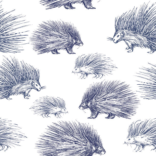 nahtlose muster mit porcupines. - scribble inks on paper black art stock-grafiken, -clipart, -cartoons und -symbole