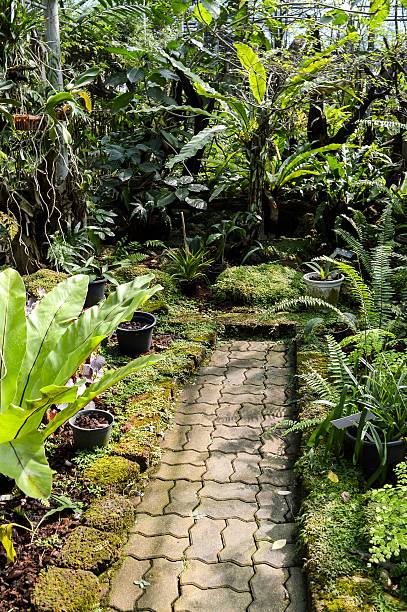 istock cement brick walkway in plants garden 490045736
