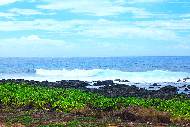 istock Rocky lava rock shore on Hawaii 490046428