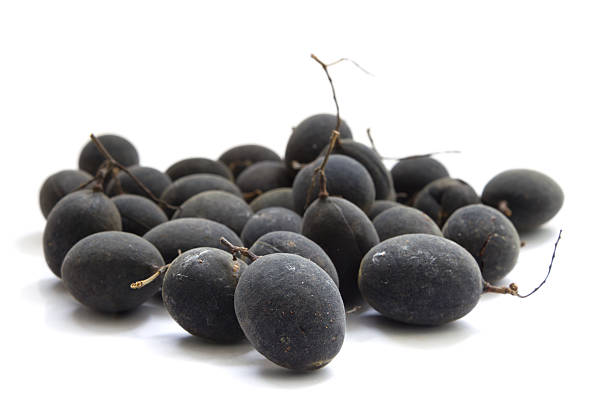 istock Velvet tamarind, Dialium cochinchinense 490049428