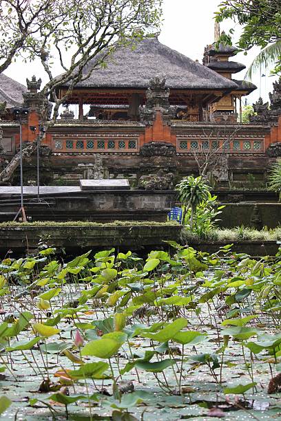 istock Bali Saraswati Temple in Bali 490051124