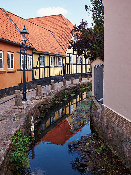 Típico pequeña calle con casas de Dinamarca - foto de stock