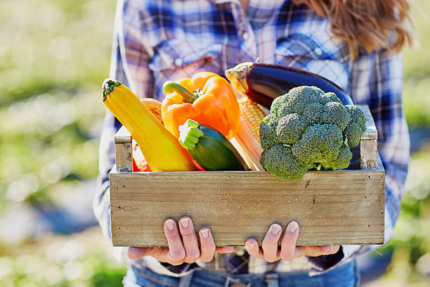 istock Young woman holding wooden crate with vegetables 490056972