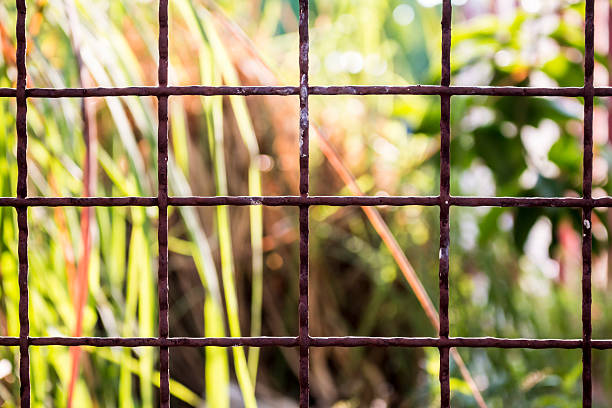 fence grid with green background stock photo