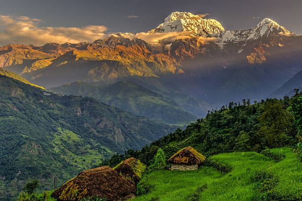 Annapurna South view from Tolka village at sunrise Annapurna South view from Tolka village at sunrise in Himalayas, Nepal (Sep 2013). annapurna conservation area photos stock pictures, royalty-free photos & images