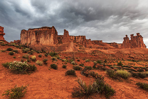 istock Storm, rain and flash flood in American desert 490064369