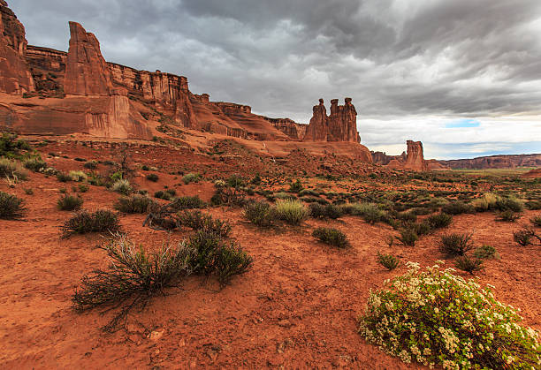 istock Storm, rain and flash flood in American desert 490064371