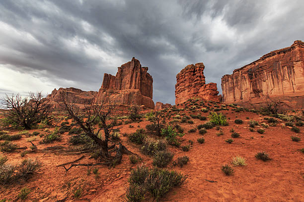 istock Storm, rain and flash flood in American desert 490064373