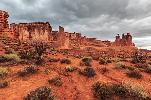 istock Storm, rain and flash flood in American desert 490064375