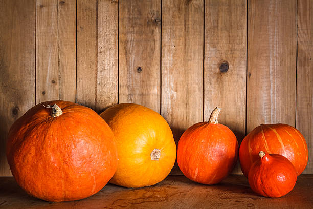 istock Pumpkins on grunge wooden backdrop background 490067147
