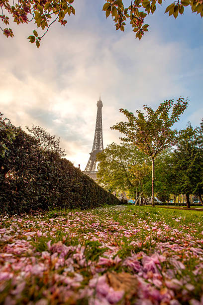 istock Eiffel Tower during spring time in Paris, france 490068159