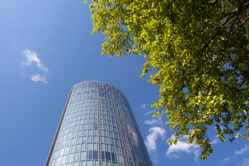 Green tree branches against a skyscraper and blue sky