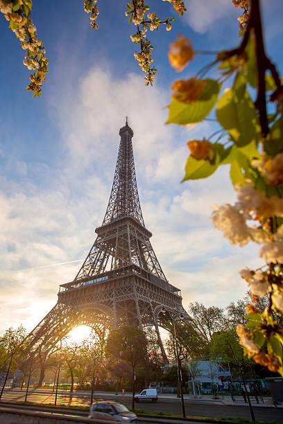 istock Eiffel Tower during spring time in Paris, france 490068857