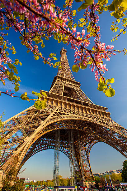 istock Eiffel Tower during spring time in Paris, france 490069323