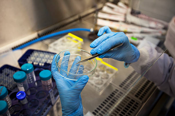 istock hand detail of a scientist 490073366