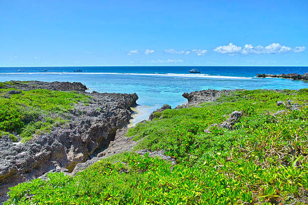 istock Landscape of Swan Cape 490077876