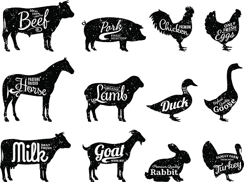 Set of butchery labels templates. Farm animals with sample text. Retro styled farm animals silhouettes collection for groceries, meat stores, packaging and advertising.