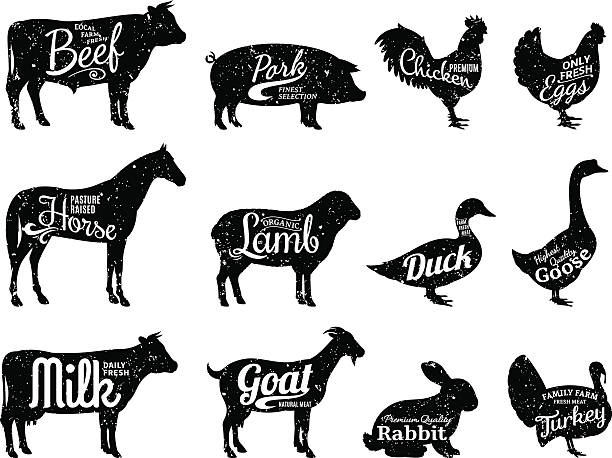 Farm Animals Silhouettes Collection, Butchery Labels Templates Set of butchery labels templates. Farm animals with sample text. Retro styled farm animals silhouettes collection for groceries, meat stores, packaging and advertising. in silhouette illustrations stock illustrations