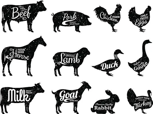 Vector illustration of Farm Animals Silhouettes Collection, Butchery Labels Templates