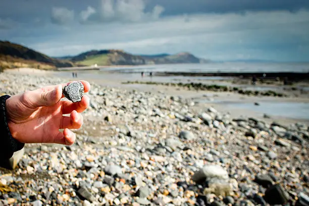 Hand holding an ammonite fossil found in the rocks on the beach between Lyme Regis and Charmouth. In the background is Charmouth and other fossil hunters.