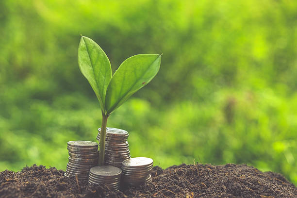 istock plant growing out of coins 490080854
