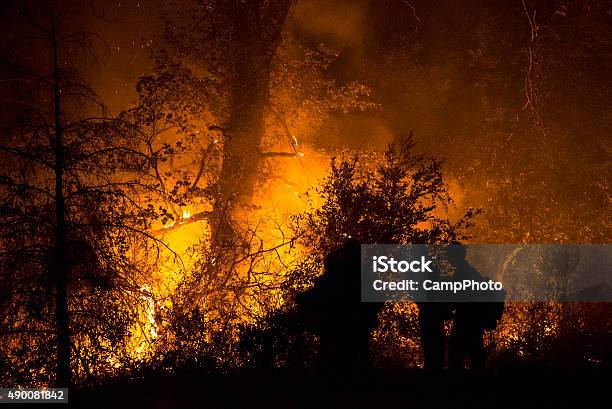 Burning Forest Stock Photo - Download Image Now - California, Forest Fire, 2015