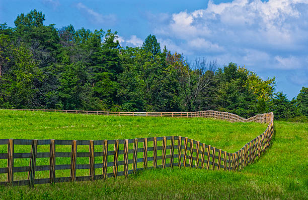 istock New 4 board fence in grass pasture 490104226