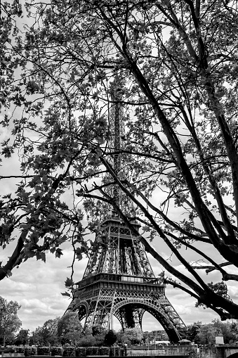 Paris, France - May 9, 2013: The Left Bank of the Seine river in Paris, France with the Eiffel Tower, named after the designer Gustave Eiffel. The Eiffel Tower is 324 meters tall and the tallest structure in Paris. It is a global icon of France and the most-visited paid monument in the world. In the foreground are branches with fresh spring foliage of tall trees at the Right Bank.