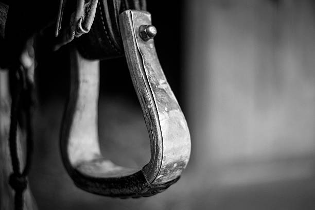 Horse Tack Close Up Horse tack close up detail in black and white. buckle photos stock pictures, royalty-free photos & images