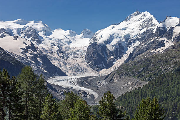 Morteratsch Glacier stock photo