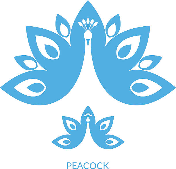 Peacock (EPS) + ZIP - alternate file (CDR)  peacock stock illustrations